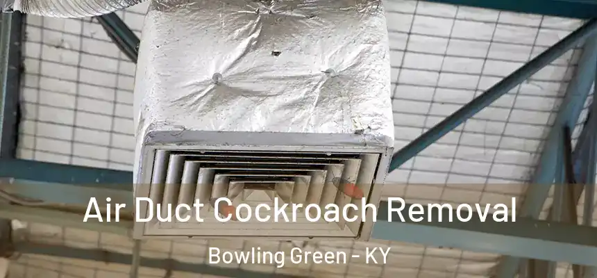 Air Duct Cockroach Removal Bowling Green - KY