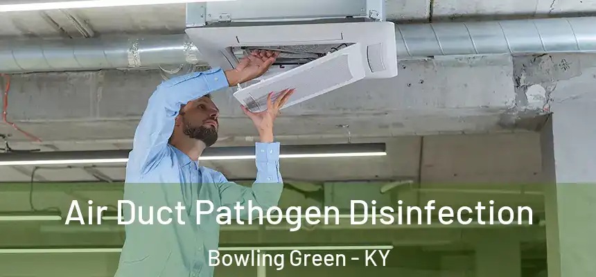  Air Duct Pathogen Disinfection Bowling Green - KY