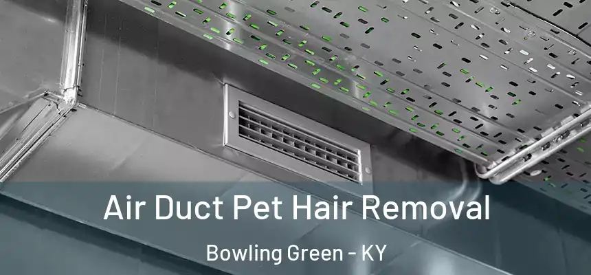  Air Duct Pet Hair Removal Bowling Green - KY