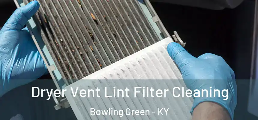 Dryer Vent Lint Filter Cleaning Bowling Green - KY