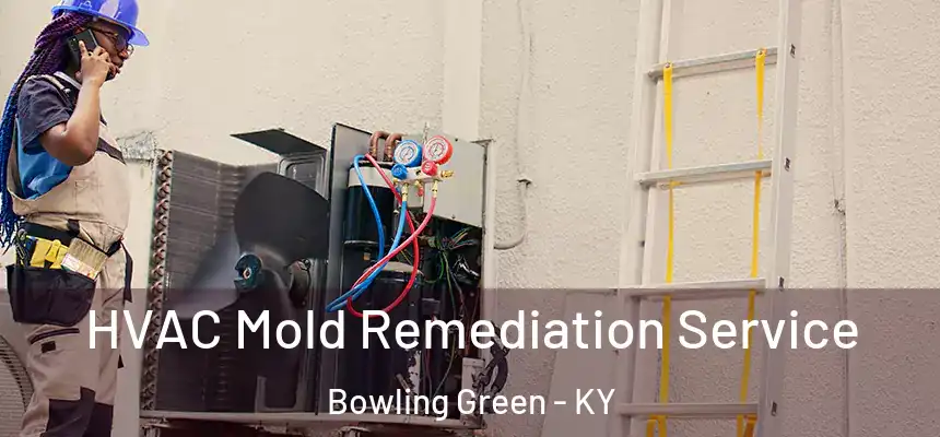  HVAC Mold Remediation Service Bowling Green - KY