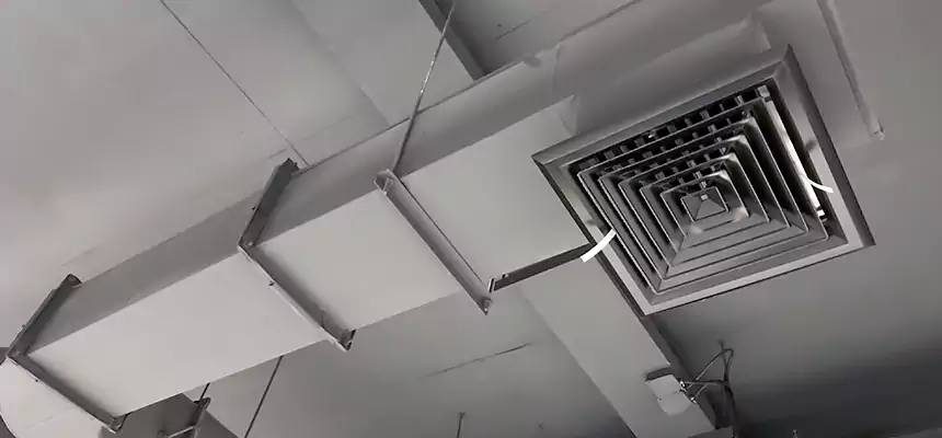 Our Pest Removal From Ducts Services in Bowling Green, KY