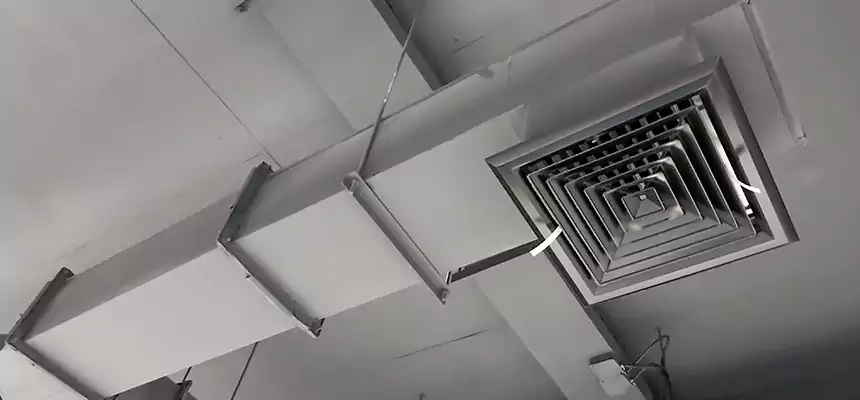 Our Rodent Droppings In Vents Services in Bowling Green, KY