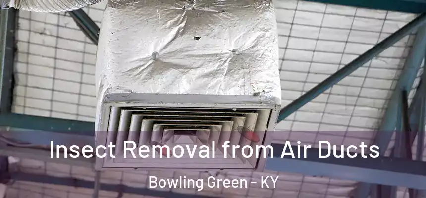 Insect Removal from Air Ducts Bowling Green - KY