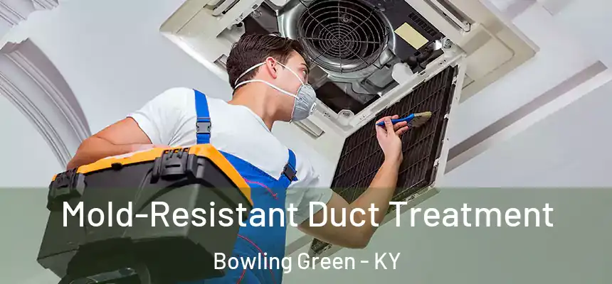 Mold-Resistant Duct Treatment Bowling Green - KY