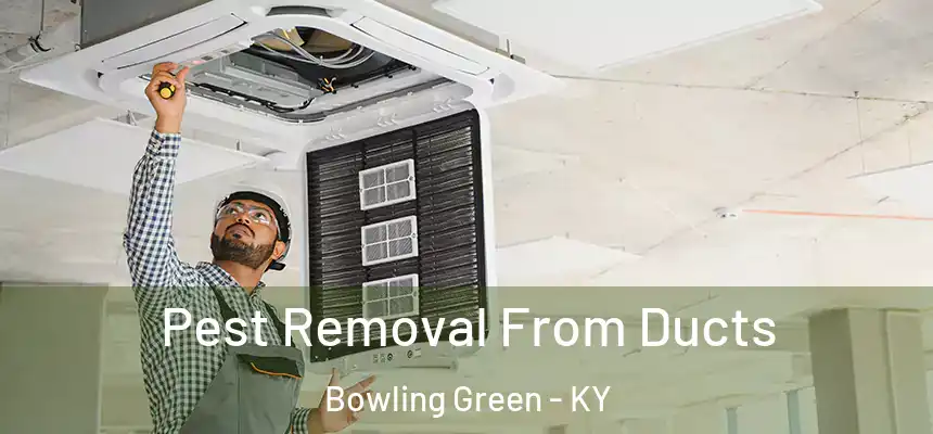 Pest Removal From Ducts Bowling Green - KY