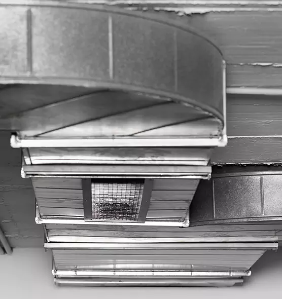 Professional Air Duct Pet Hair Removal in Bowling Green, KY