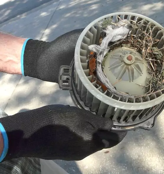 About Air Duct Rat Removal in Bowling Green, KY