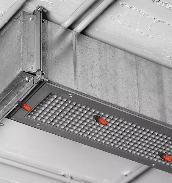 Affordable Insect Removal from Air Ducts in Bowling Green, KY