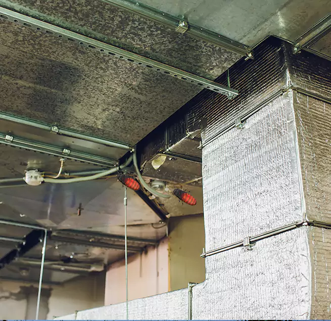 Why Homeowners & Businesses Trust Us in Bowling Green, KY?