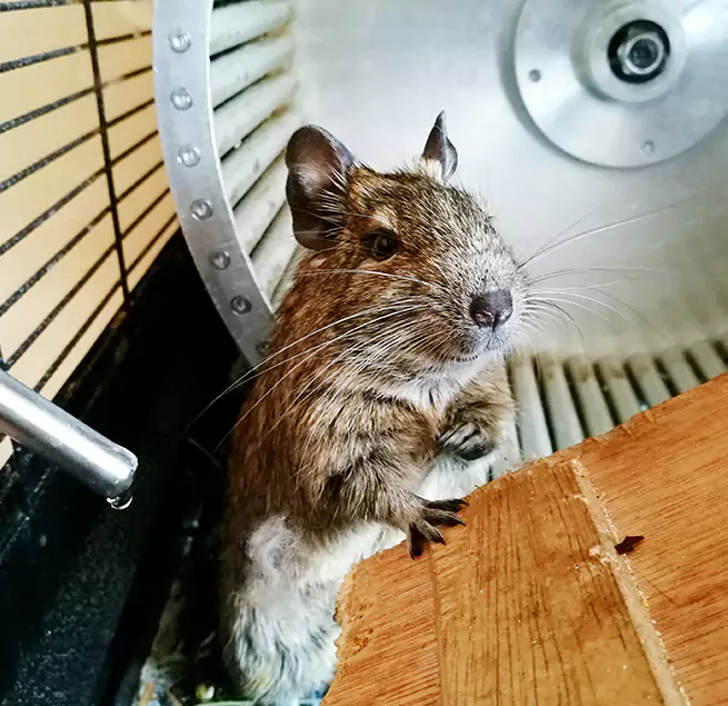 Why Homeowners & Businesses Trust Us Bowling Green, KY